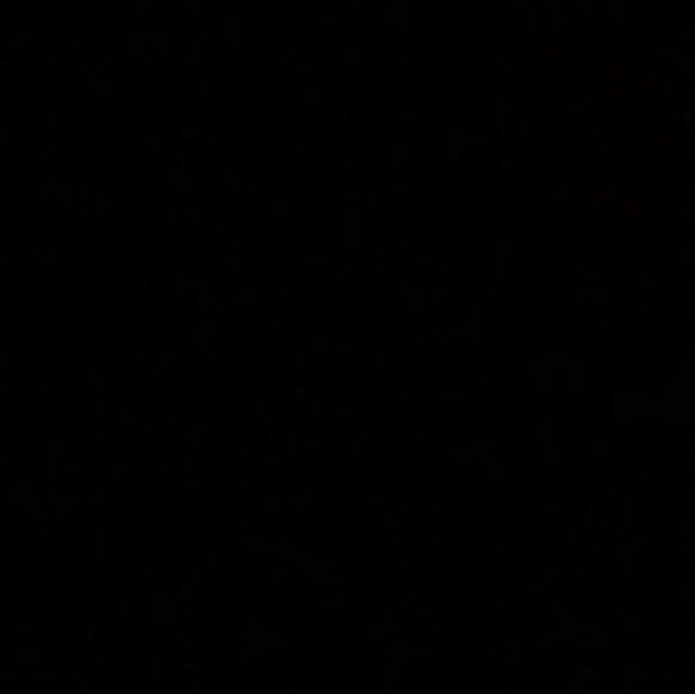 Meet your Posher, Ariel